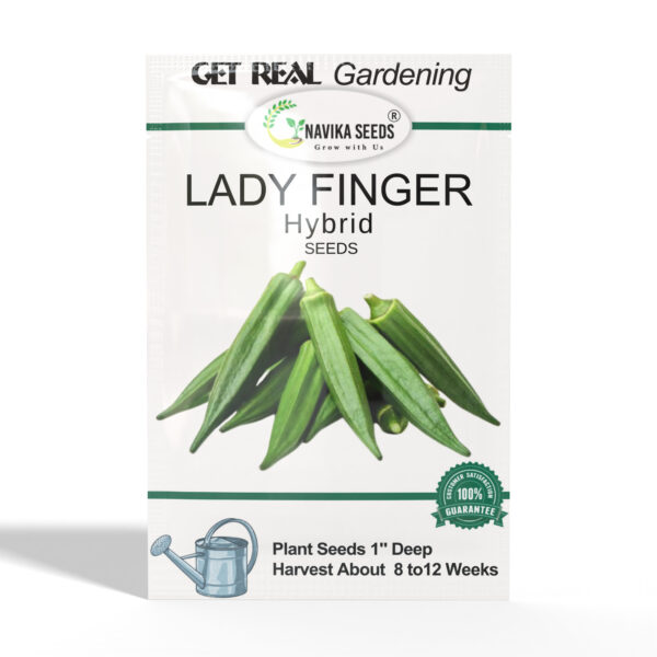 Lady-Finger