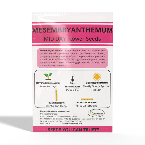 Mesembryanthemum - Image 2