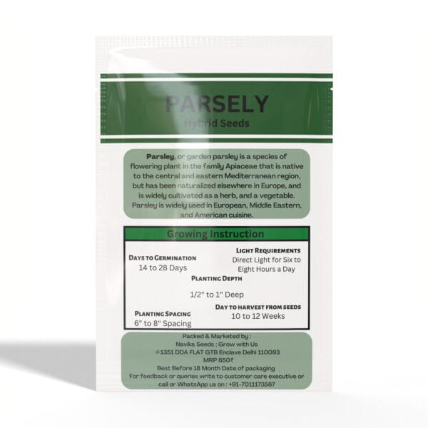 Parsley - Image 2