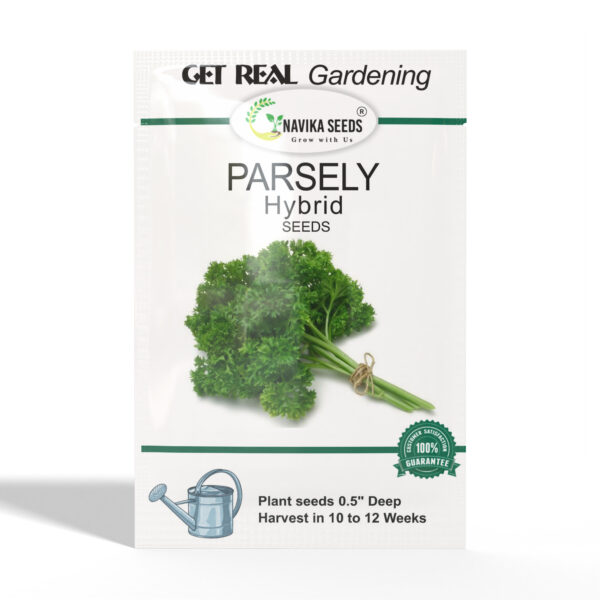 Parsley