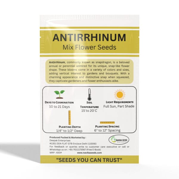 Antirrhinum - Image 2