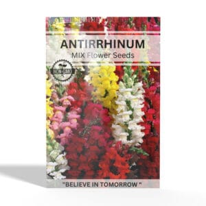 Antirrhinum