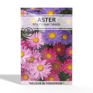 Aster