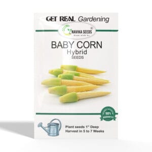 Baby-Corn