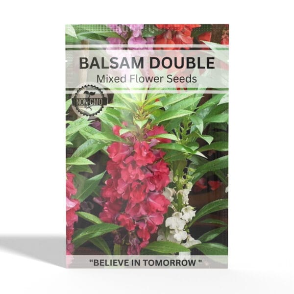 Balsam
