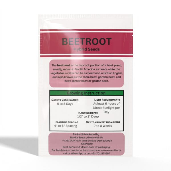 Beetroot - Image 2