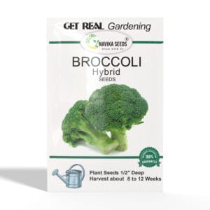 Broccoli