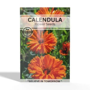 Calendula
