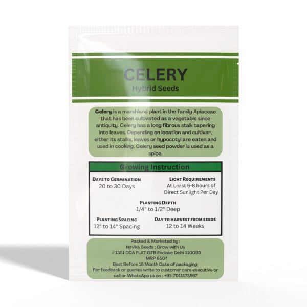 Celery - Image 2