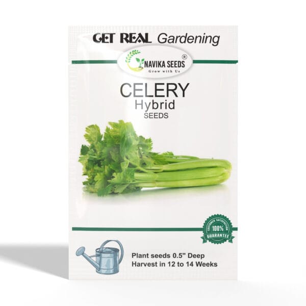 Celery