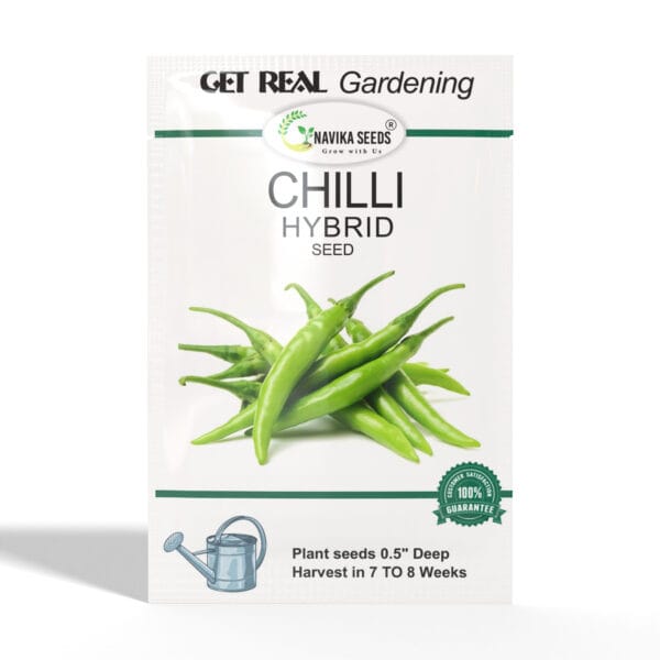 Chili