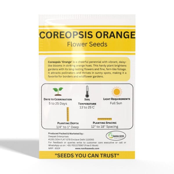Coreopsis - Image 2