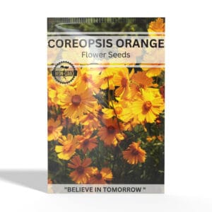 Coreopsis