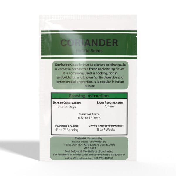 Coriander - Image 2