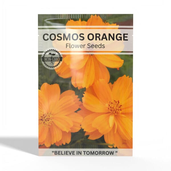Cosmos-Orange