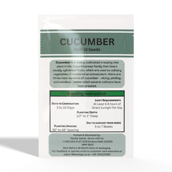 Cucumber - Image 2