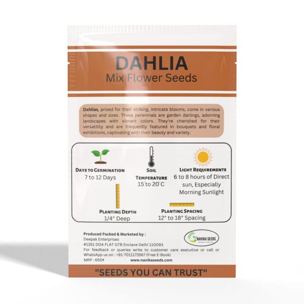 Dahlia - Image 2