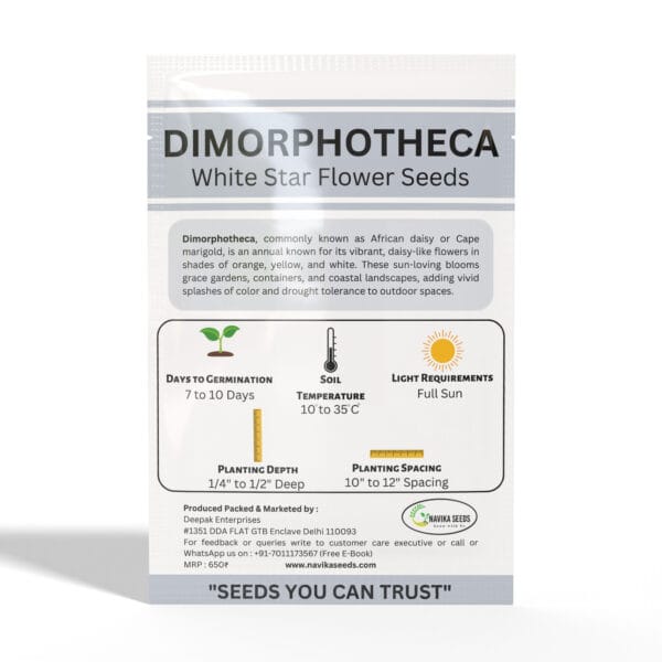 Dimorphotheca - Image 2