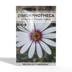 Dimorphotheca