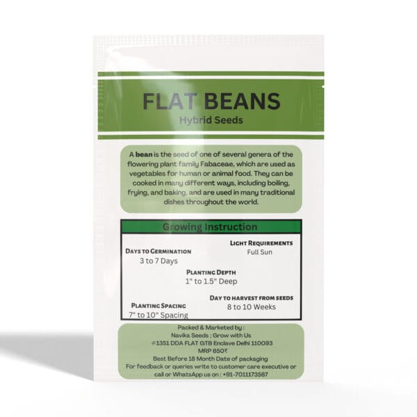 Flat-Beans - Image 2