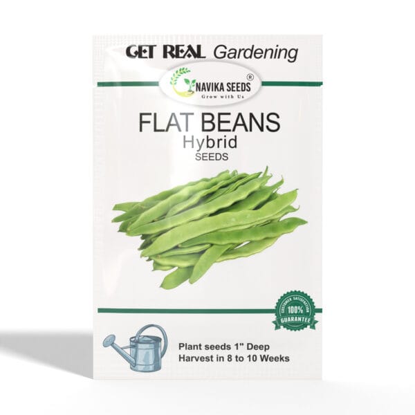 Flat-Beans