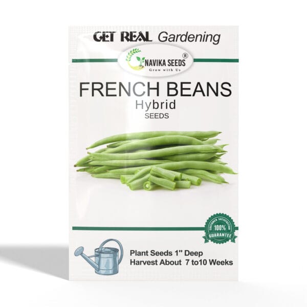 French-Beans