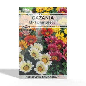 Gazania