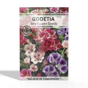 Godetia