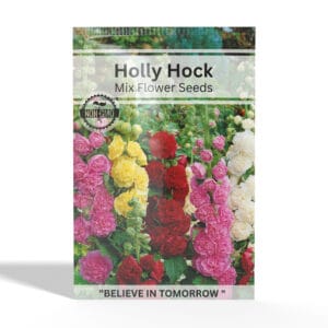 Holly-Hock