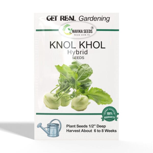 Knol-Khol