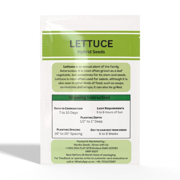 Lettuce-Grandrapid - Image 2
