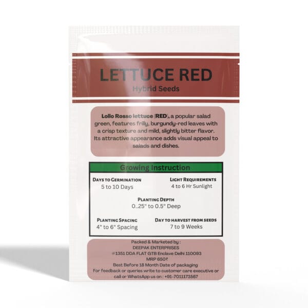Lettuce-Red - Image 2