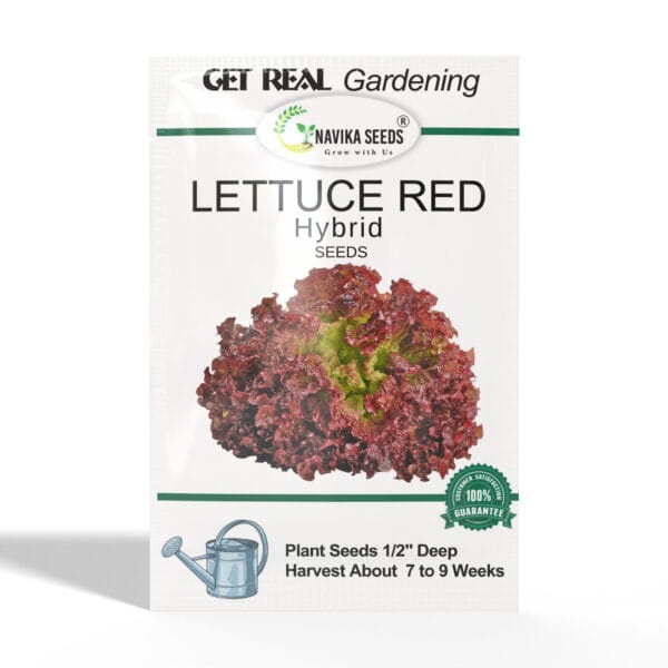 Lettuce-Red