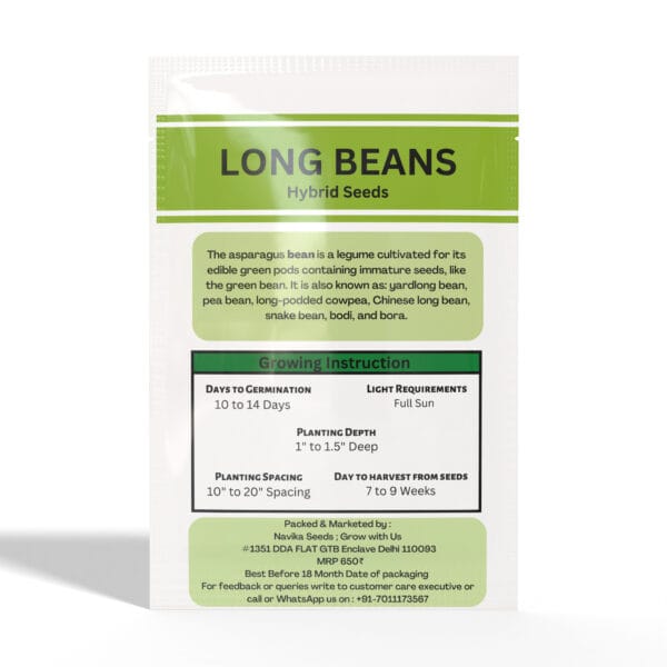 Long-Beans - Image 2