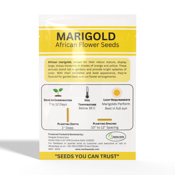 Marigold-African - Image 2