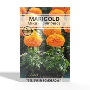 Marigold-African