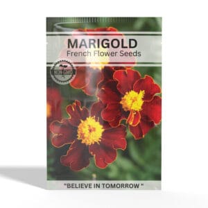 Marigold-french
