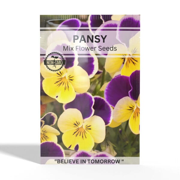 Pansy