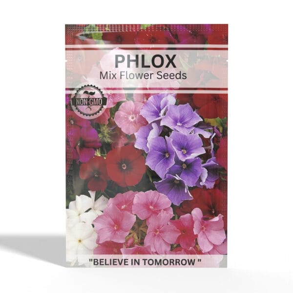 Phlox