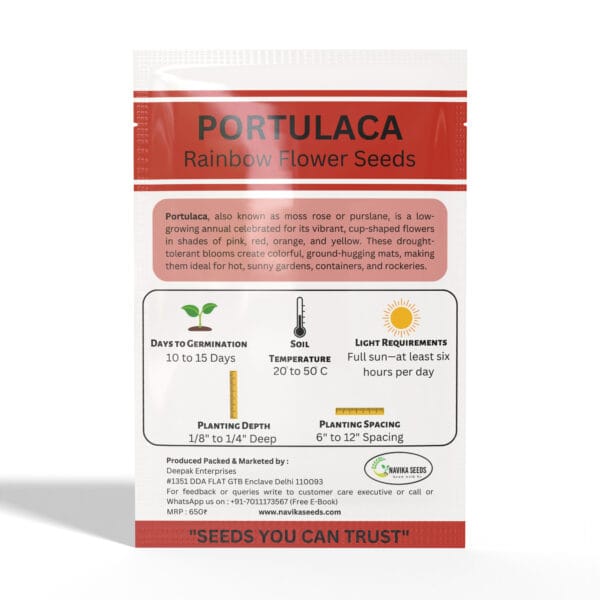 Portulaca - Image 2