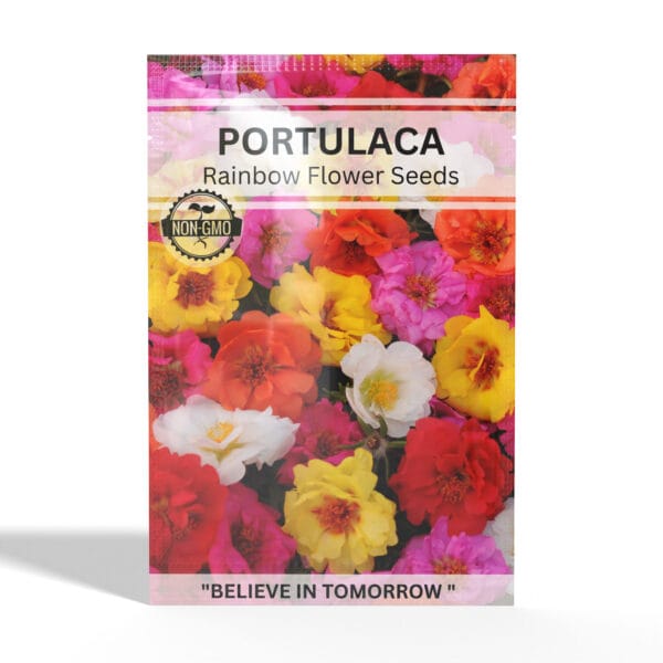Portulaca