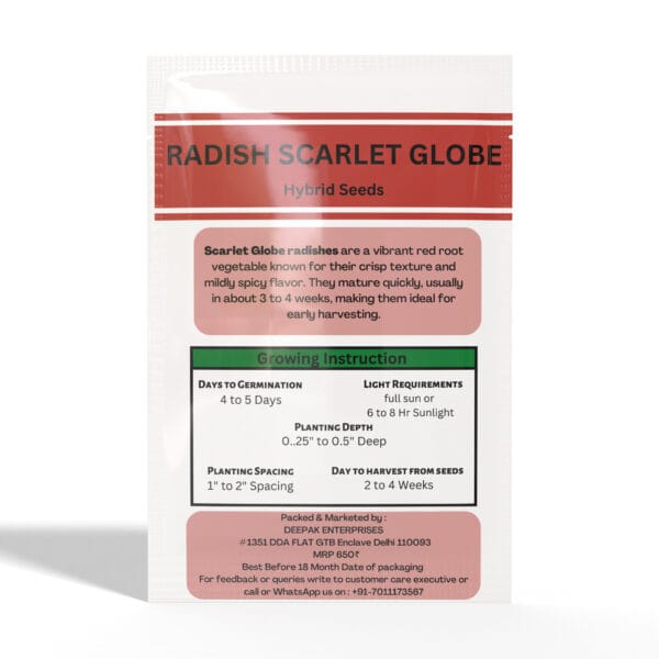 Radish-Scarlet-Globe - Image 2