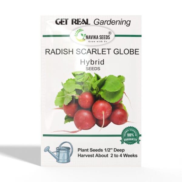 Radish-Scarlet-Globe