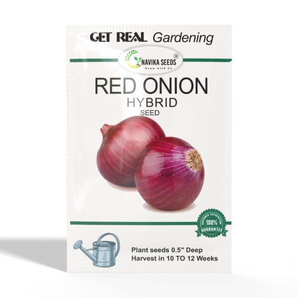 Red-Onion