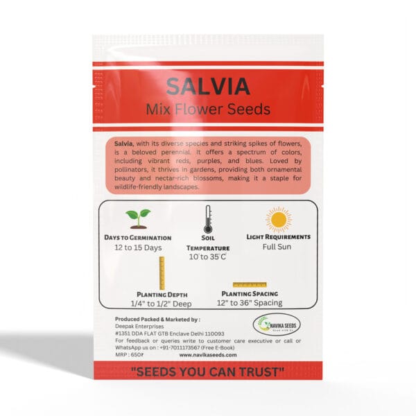 Salvia - Image 2