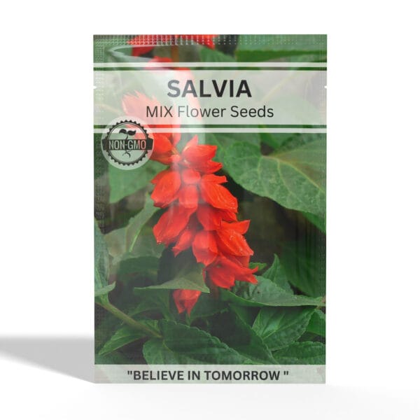 Salvia