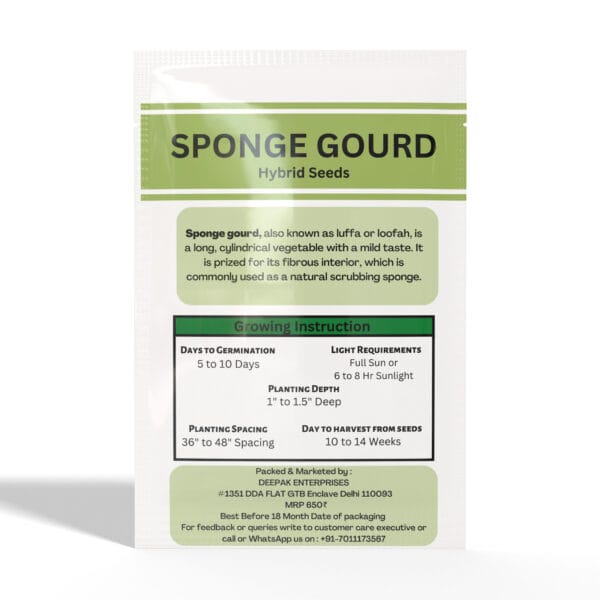 Sponge-Gourd - Image 2