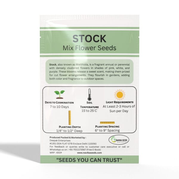 Stock - Image 2