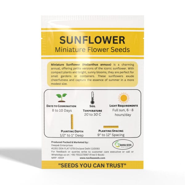 Sunflower-Miniature - Image 2