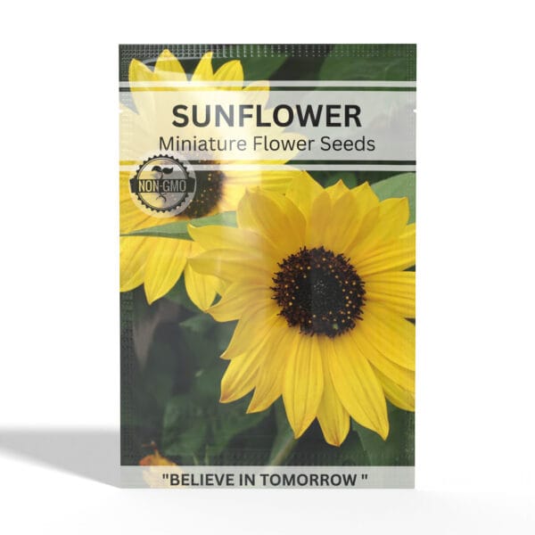 Sunflower-Miniature